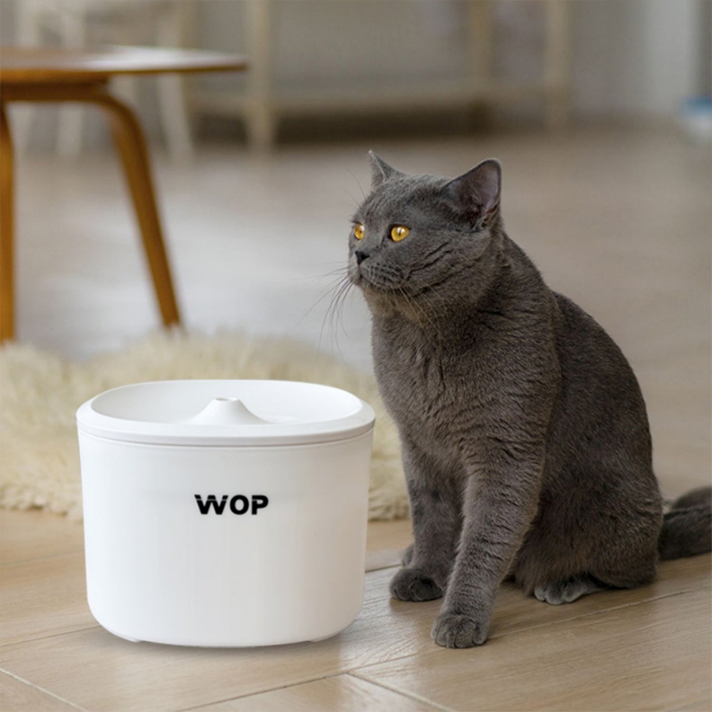 Fontaine à eau - WOP